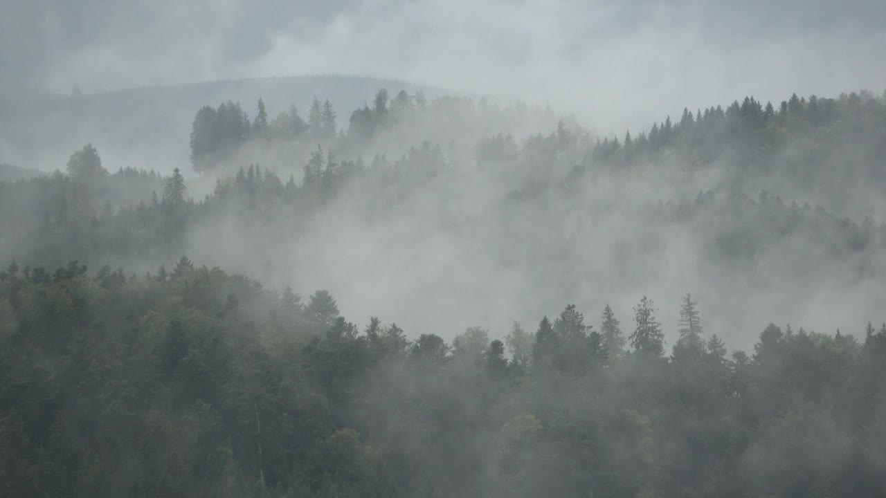 雾和云弥漫森林和田野，秋天视频素材