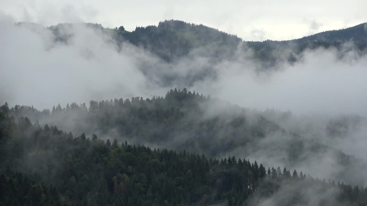 雾和云弥漫森林和田野，秋天视频素材