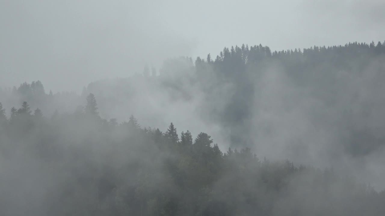 雾和云弥漫森林和田野，秋天视频素材