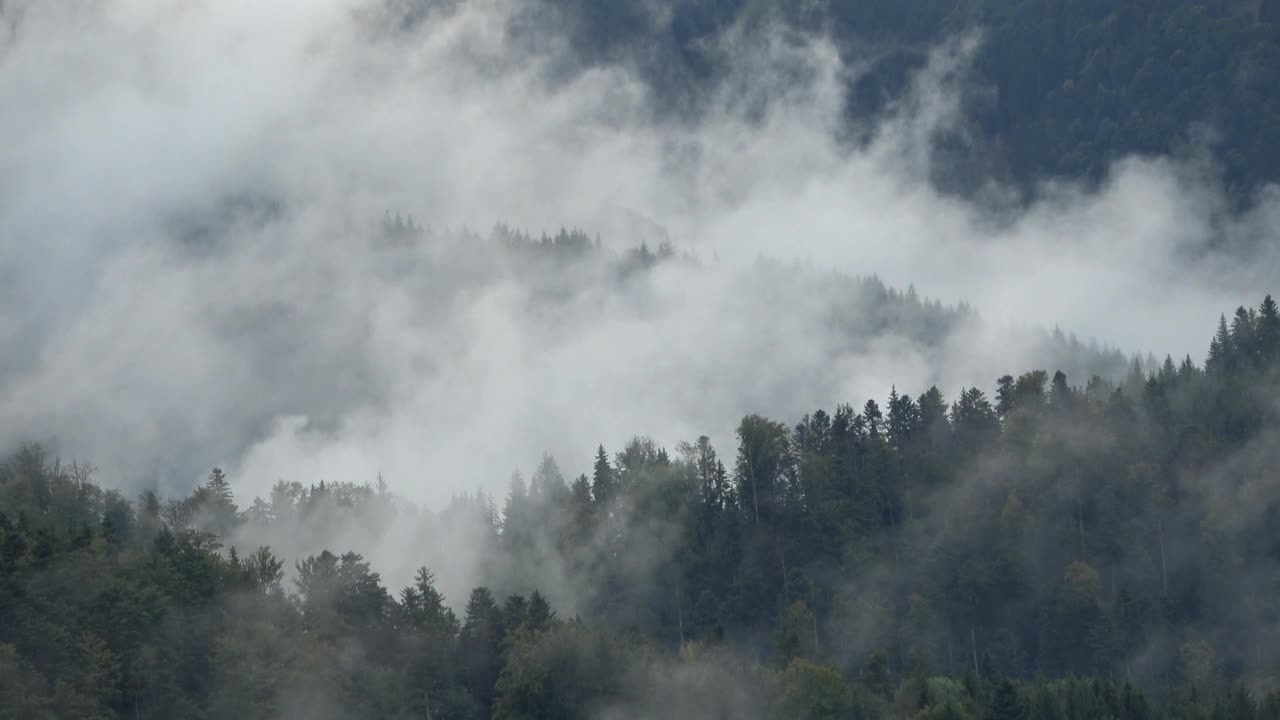 雾和云弥漫森林和田野，秋天视频素材