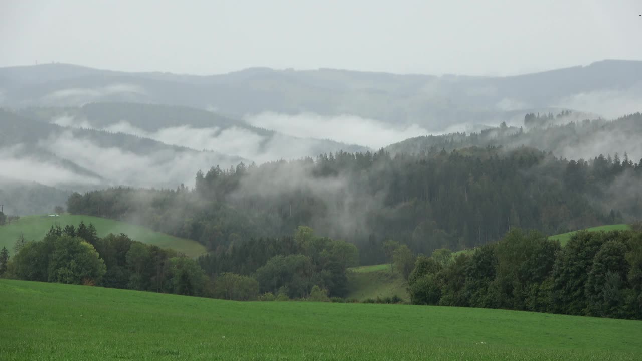 雾和云弥漫森林和田野，秋天视频素材