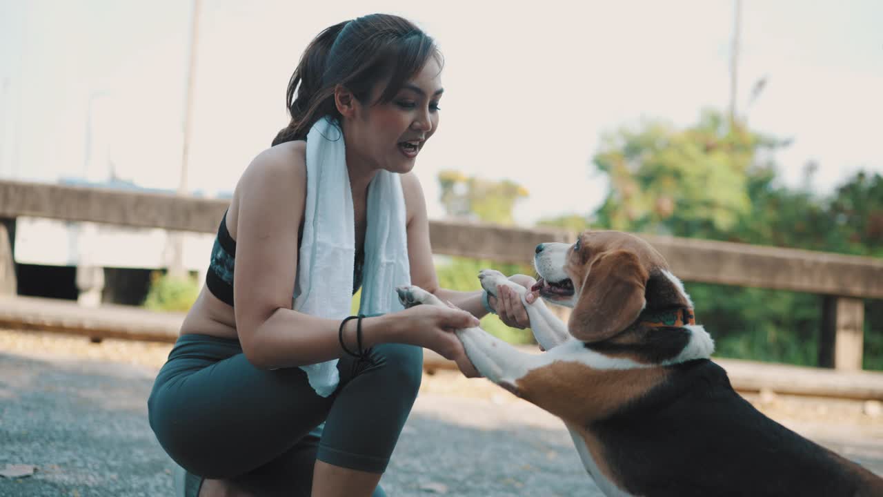 带着小猎犬在公园慢跑的快乐女人。视频素材