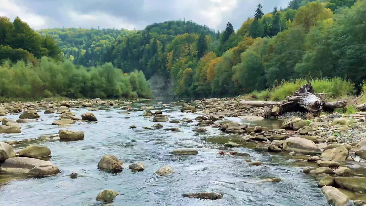 在乌克兰喀尔巴阡山脉，秋天的山河在美丽的森林中流淌。自然和旅游的概念视频素材