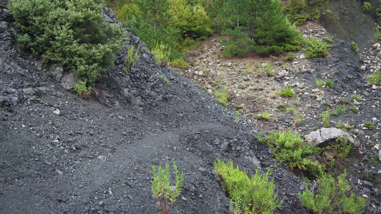 一名徒步旅行者正走在天然的火山灰道旁。视频下载