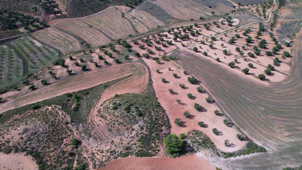 Albalate del Arzobispo的瓦尔多里亚Barranco de Valdoria附近的农作物和橄榄林景观。马丁地区低。前线。阿拉贡。西班牙。欧洲视频素材