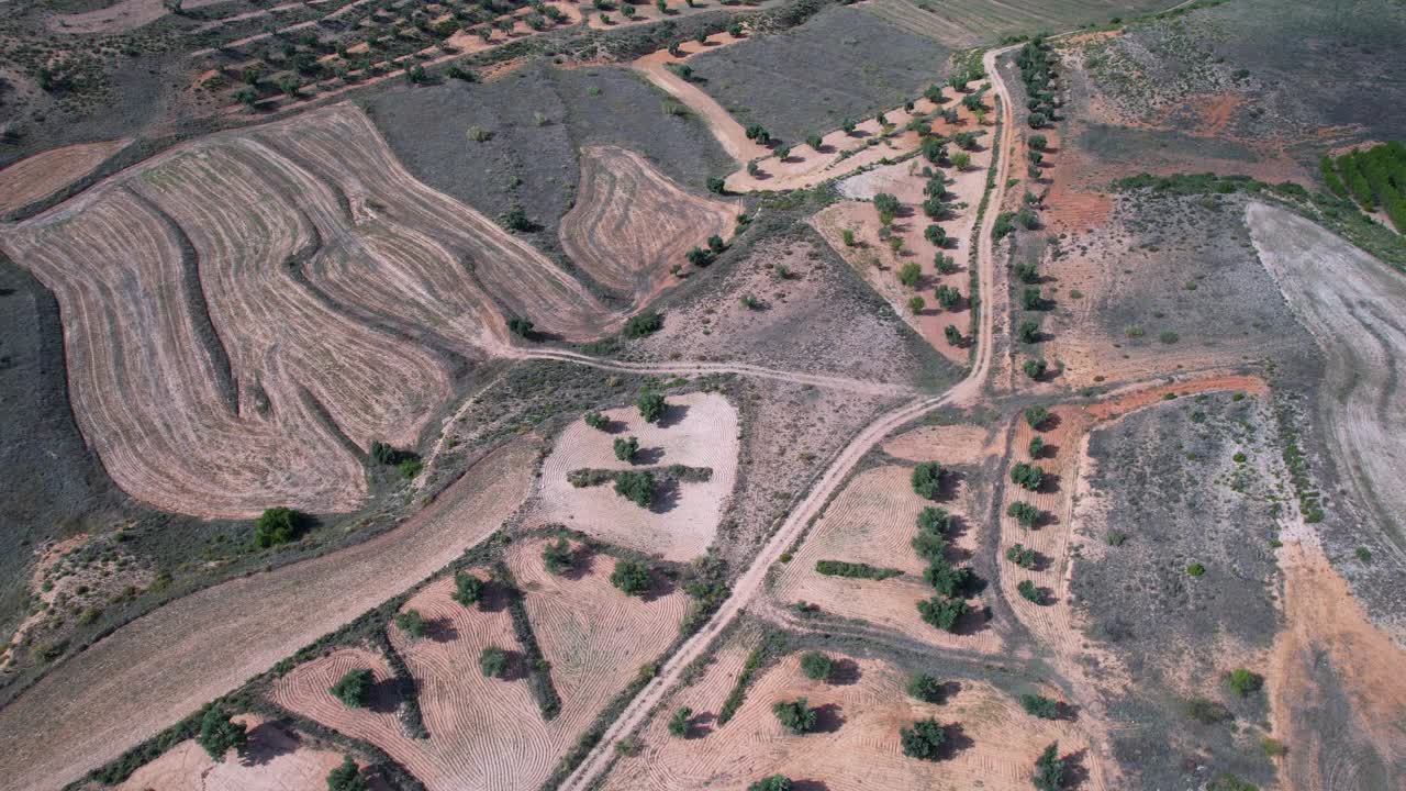 Albalate del Arzobispo的瓦尔多里亚Barranco de Valdoria附近的农作物和橄榄林景观。马丁地区低。前线。阿拉贡。西班牙。欧洲视频素材