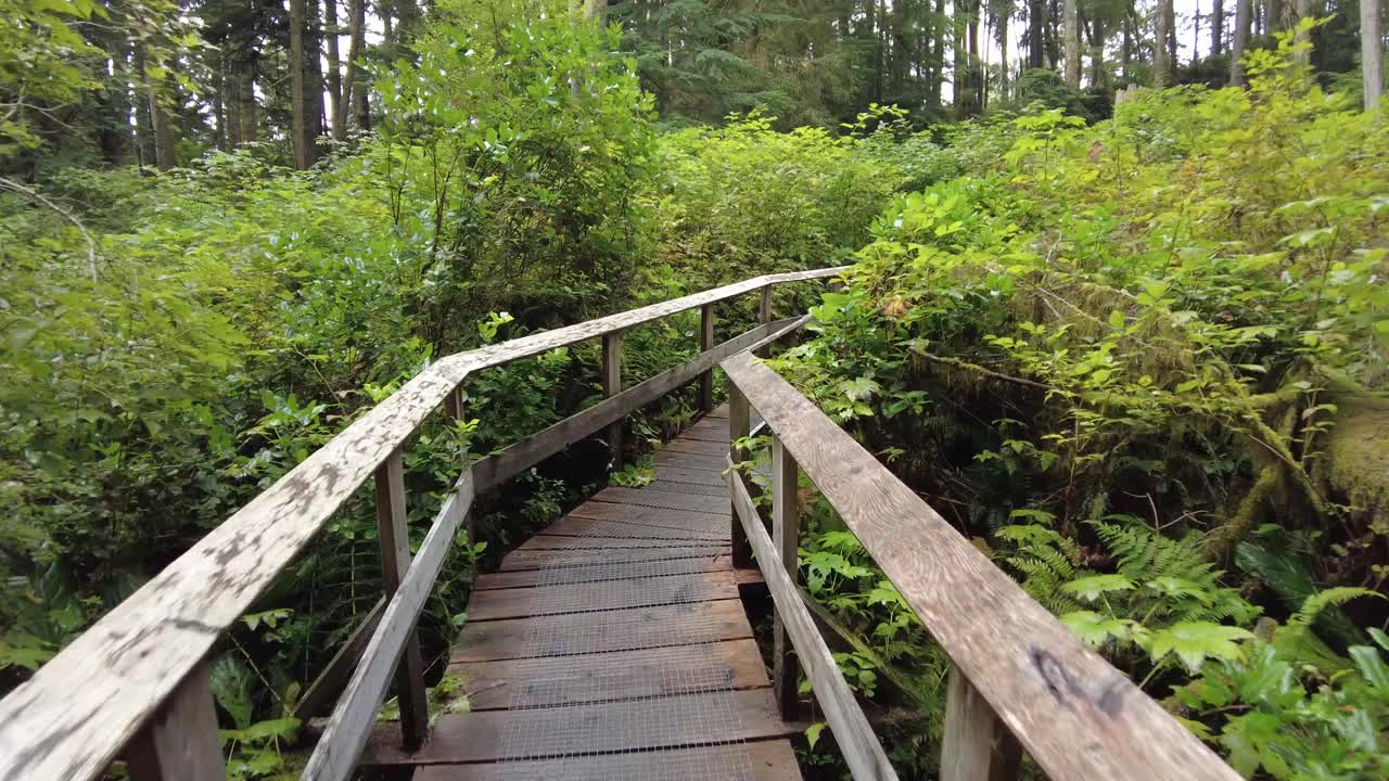 穿过温哥华岛上雨林的木小路视频下载