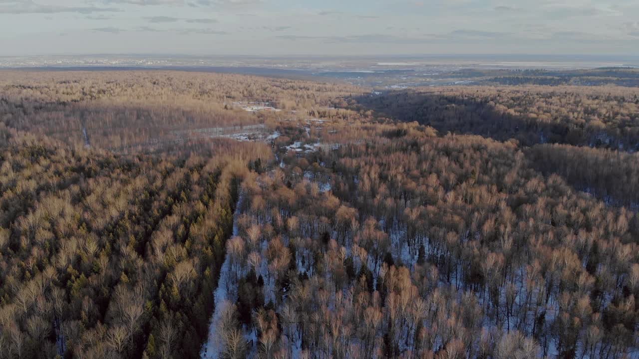 冬天的风景在一场大雪覆盖了一场沉重的湿雪，一层厚厚的雪躺在树枝上视频素材