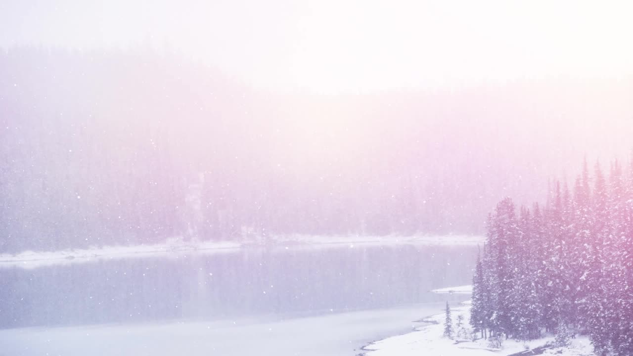 点点的光和雪花飘落在冬天的风景与树木视频素材