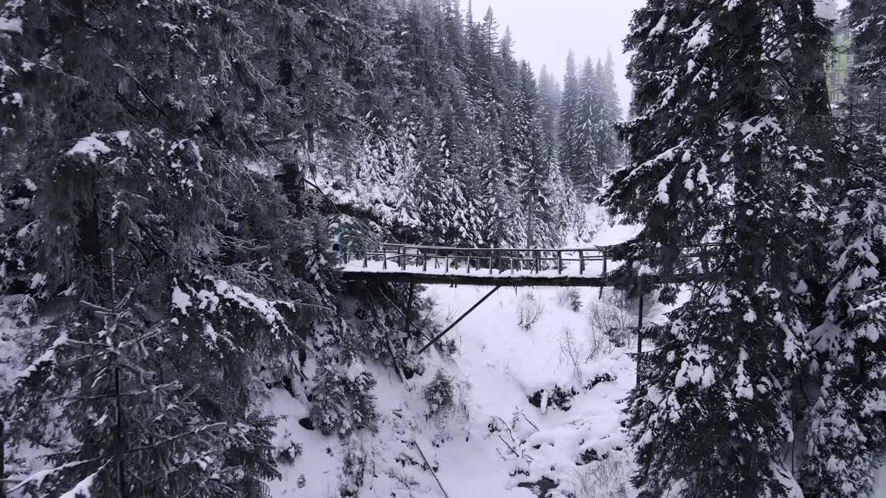 在雪山中的桥上前行视频素材