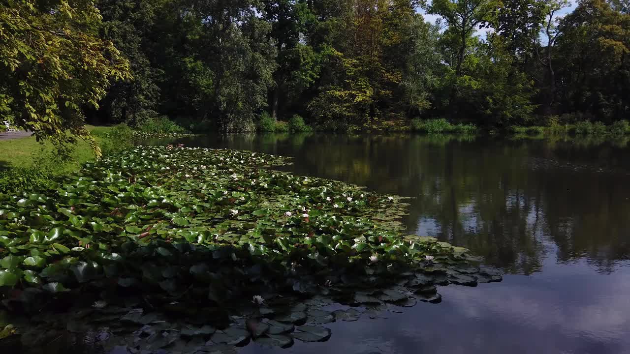 波兰华沙Wilanow Krolewski湖畔景观视频素材