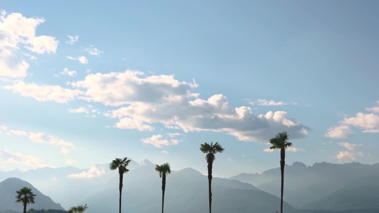 棕榈树和高山，天空。视频素材