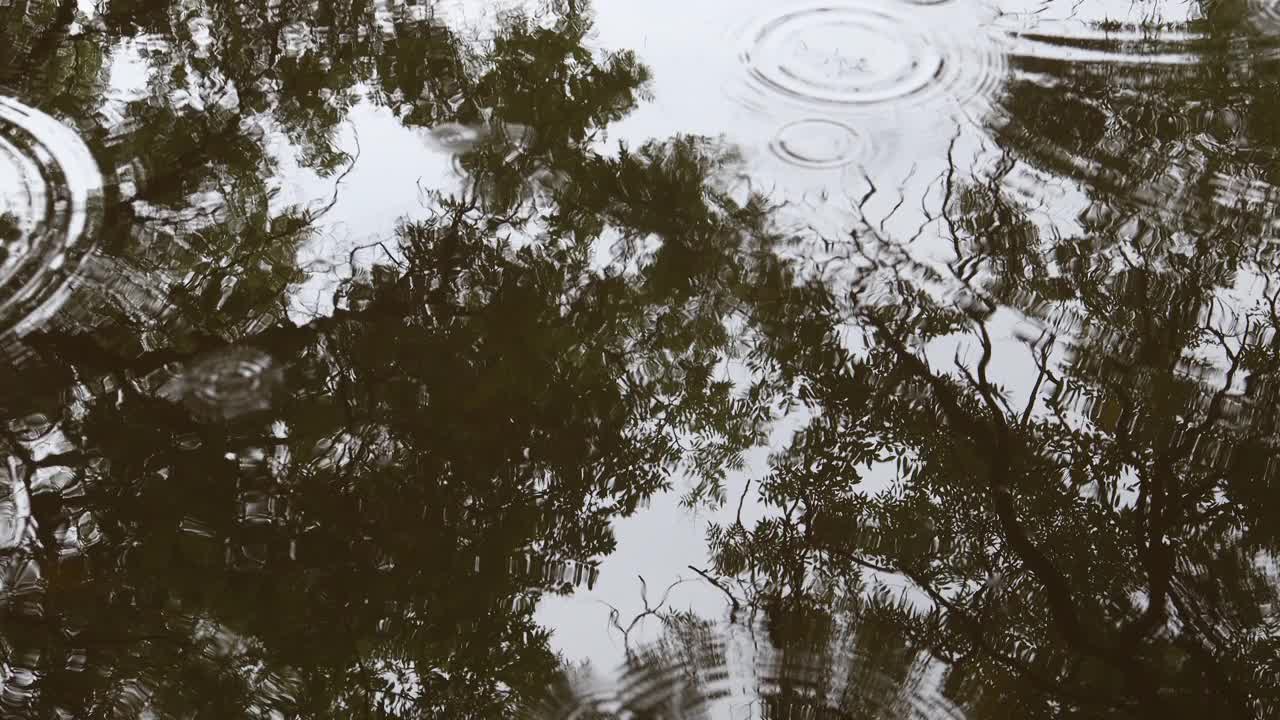 雨点在水面上形成一个水坑，黑色的影子和绿树和天空的倒影视频素材