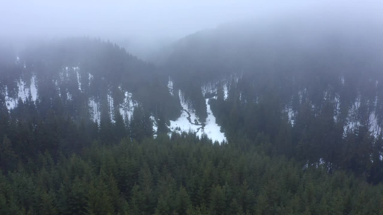 航拍:冬季森林中绿色树木的生长，汽车在雪道上行驶-埃尔福特，德国视频素材