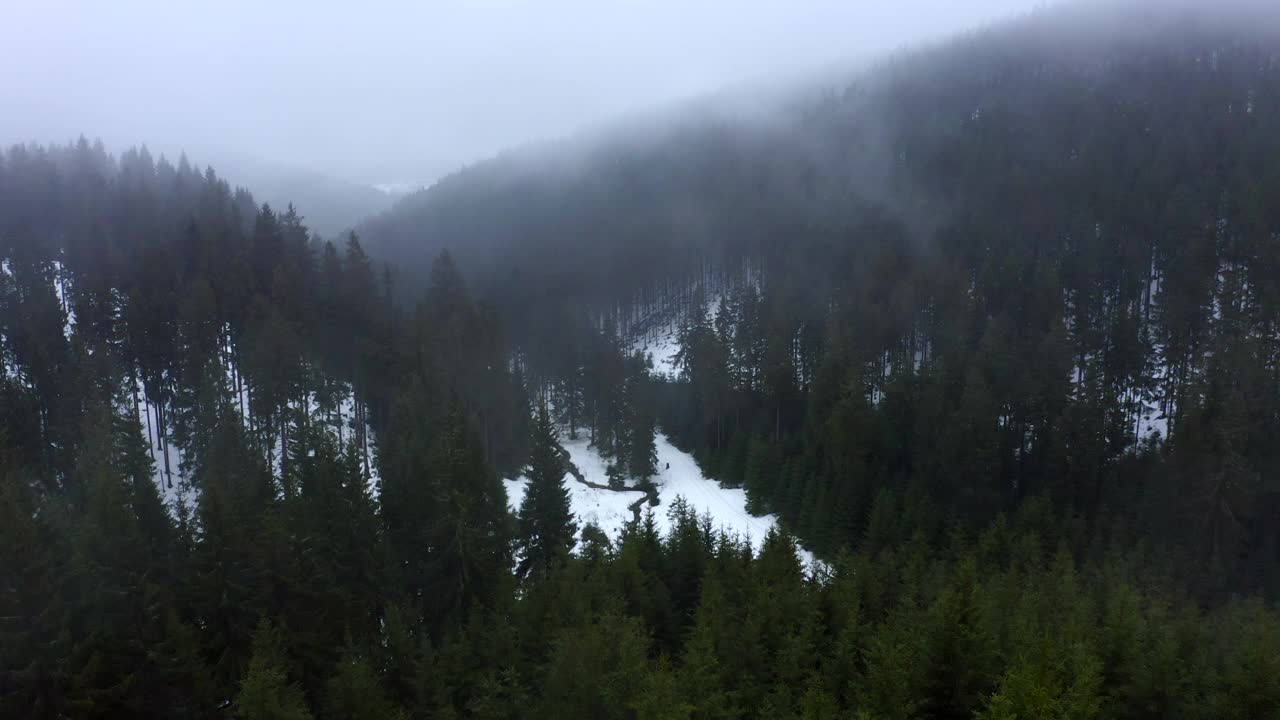 航拍:河流在雪景中流动的美丽镜头，无人机飞过森林中的绿树-埃尔福特，德国视频素材