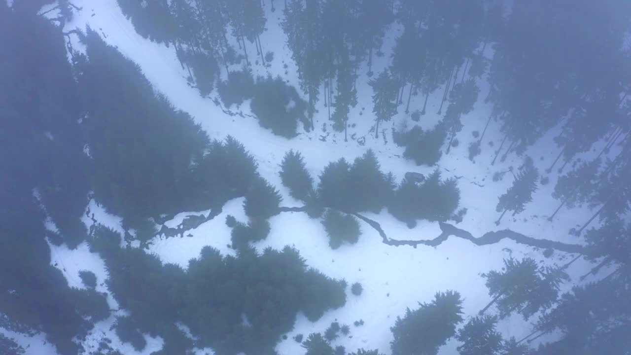 航拍:美丽的河流在白雪皑皑的森林，汽车移动在雾天-埃尔福特，德国视频素材