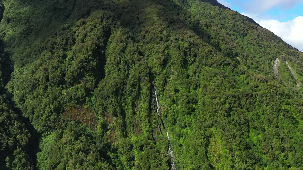 空中:风景优美的水流动在森林中的绿色树木在山-奥克兰，新西兰视频素材