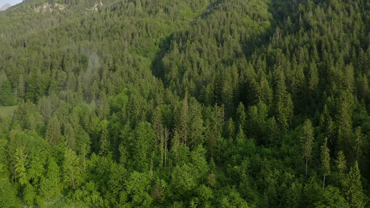 航拍:冬季山上森林里绿树的美丽景色-德国内陆视频素材