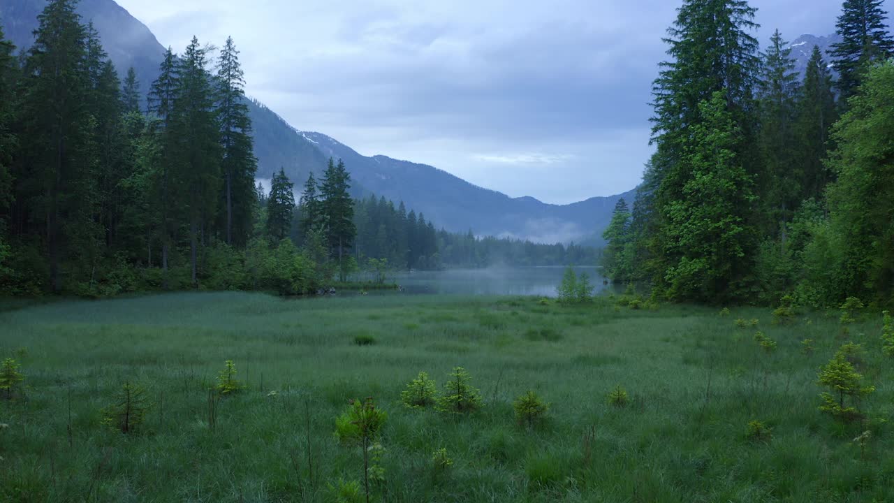 航拍:著名的湖泊和森林山脉的美丽景色，无人机在绿色景观上飞行前进-腹地，德国视频素材