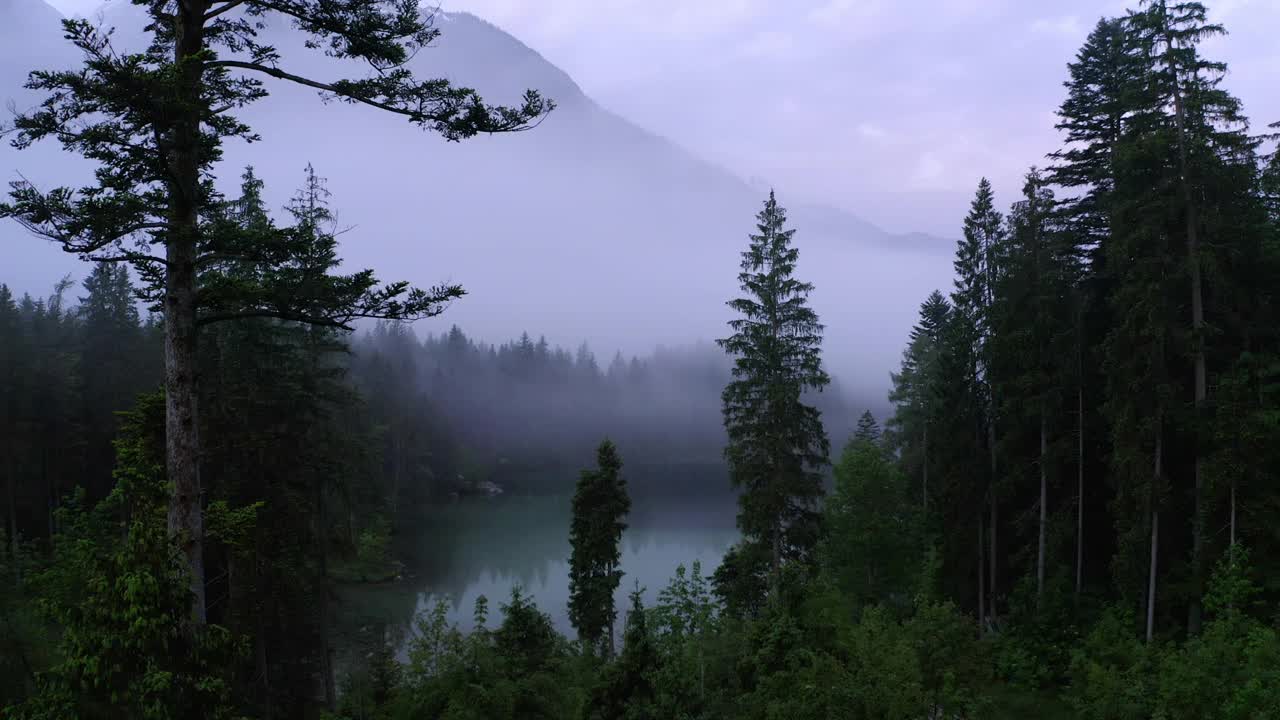 航拍:著名内陆湖上空的云朵风景，无人机在冬季飞过绿树视频素材