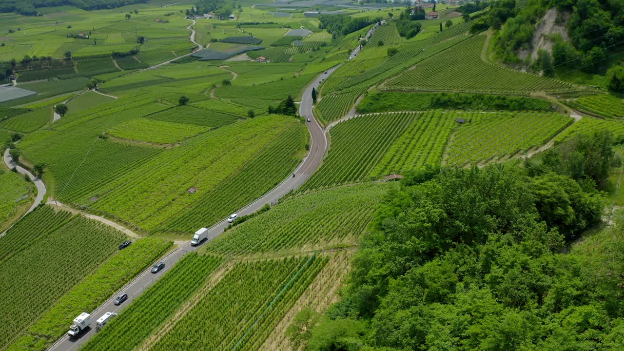 航拍:在阳光明媚的日子里，汽车在绿色景观中的道路上移动的风景-内陆，德国视频素材