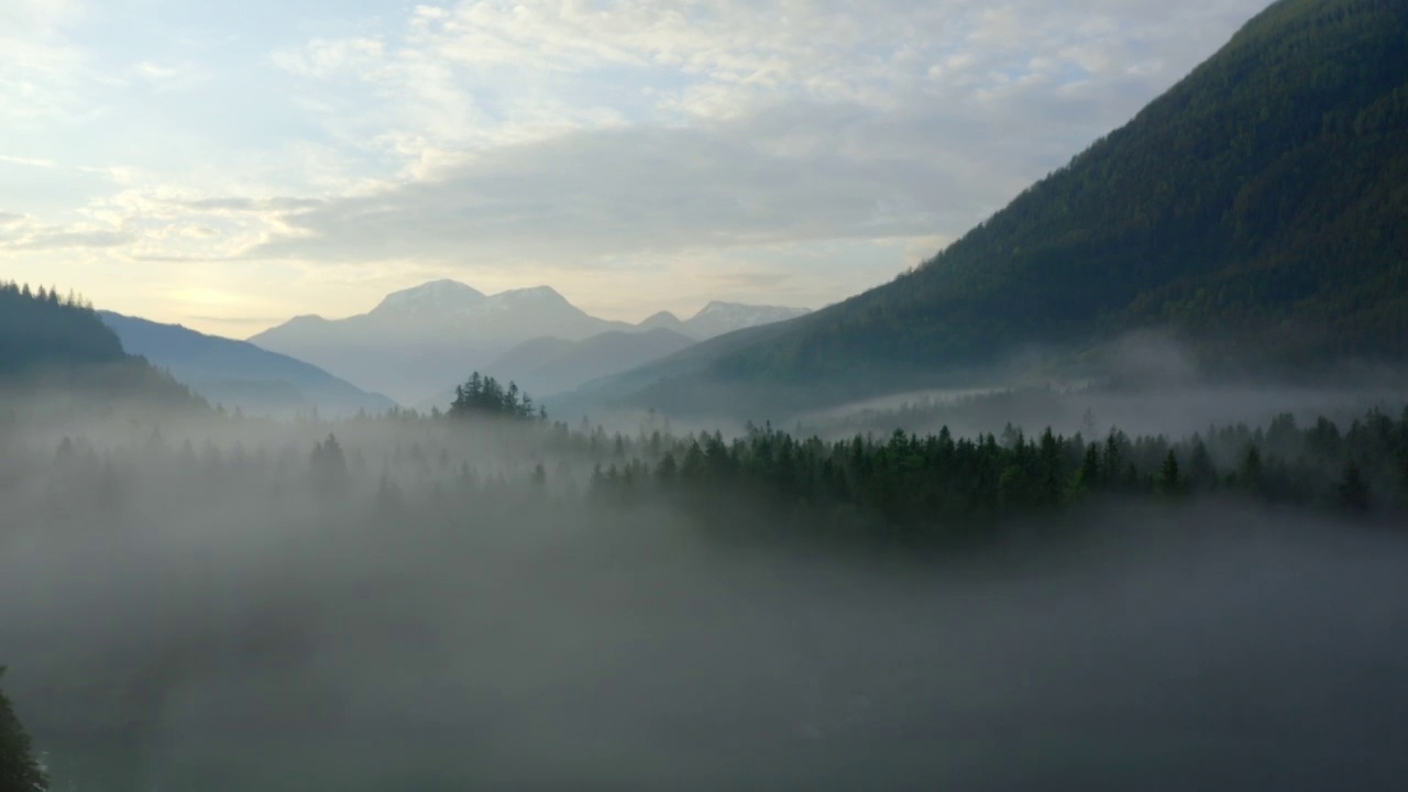 空中:森林中的绿色树木的风景拍摄，无人机在日落时飞越湖泊-腹地，德国视频素材