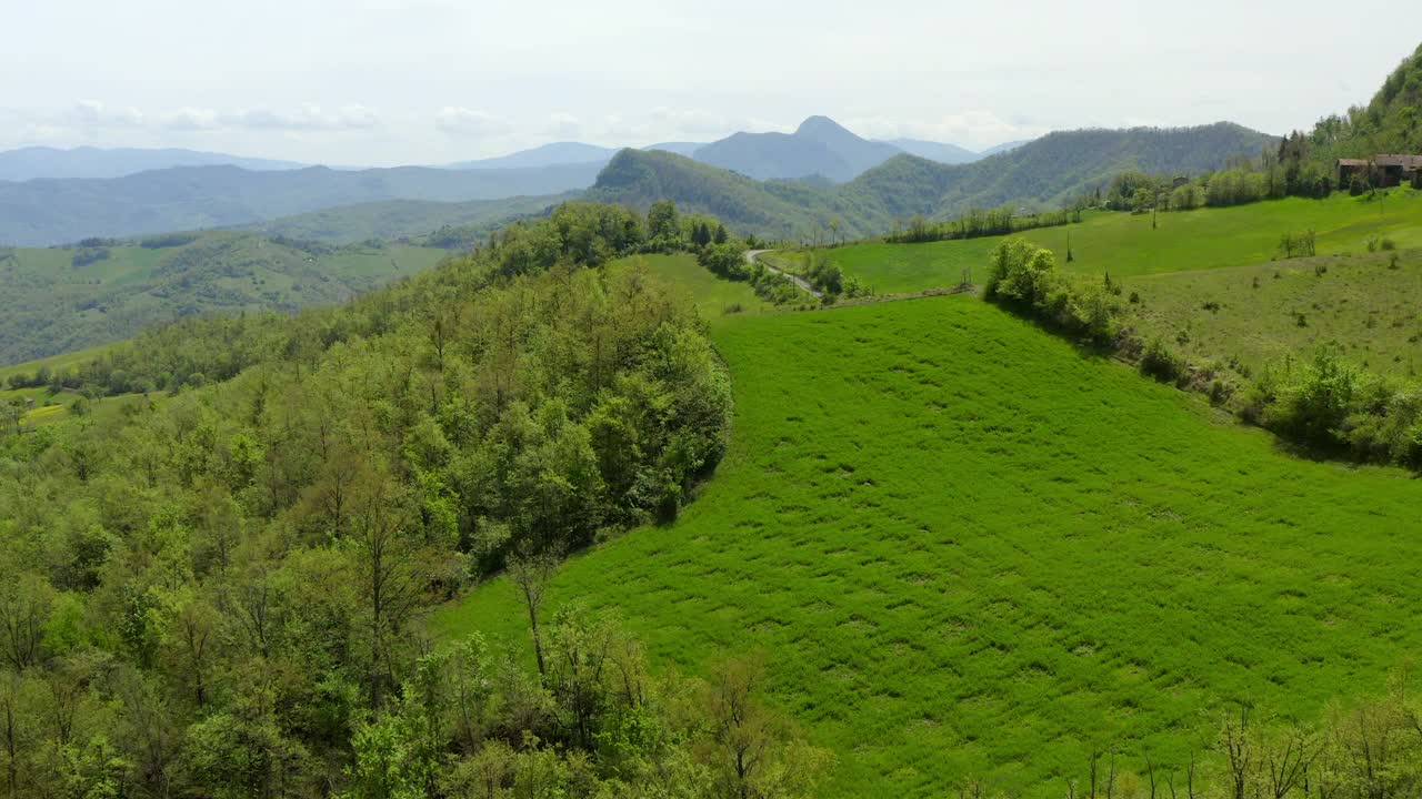 鸟瞰图的道路在山上的树，无人机飞行向前在绿色景观-亚平宁山脉，意大利视频素材