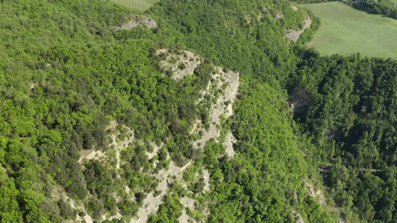 在自然山脉上的森林的空中风景，无人机飞过绿树-亚平宁山脉，意大利视频素材