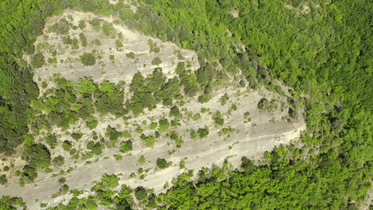 空中顶部平移森林美景，无人机飞过绿树-亚平宁山脉，意大利视频素材