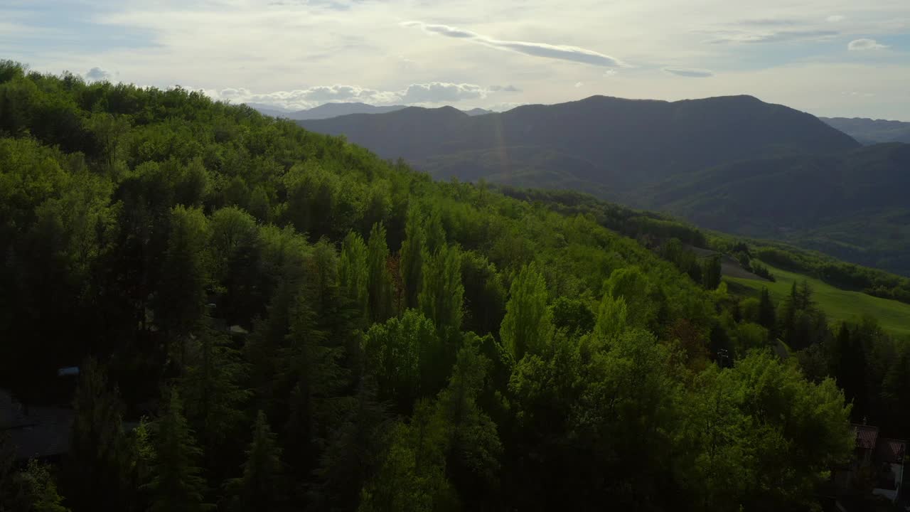 鸟瞰图:小山上的树木和植物对多云的天空-亚平宁山脉，意大利视频素材