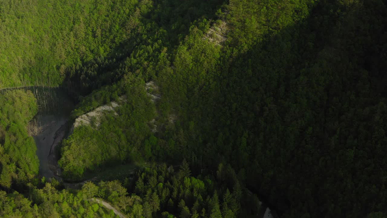 空中的绿色树木在山上，无人机飞越森林-亚平宁山脉，意大利视频素材