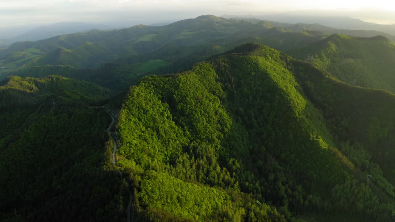 空中美丽的拍摄的道路在山上的树木，无人机飞越森林-亚平宁山脉，意大利视频素材