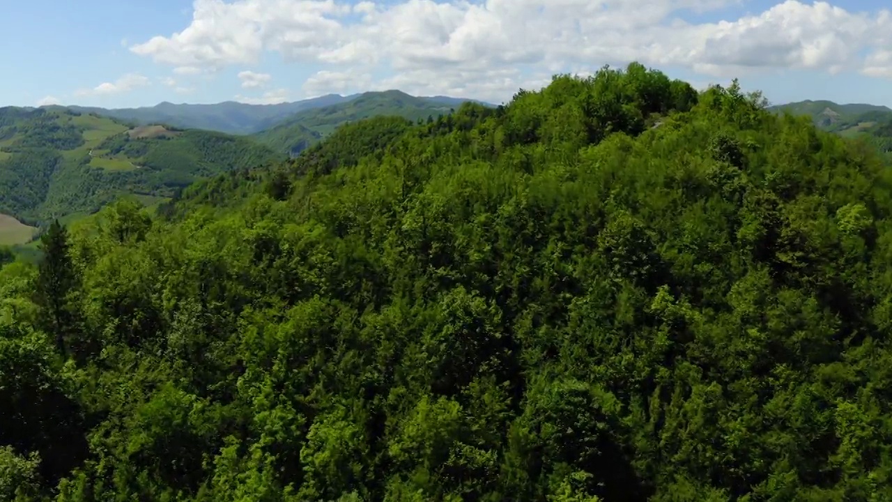 空中:山上森林的美丽景色，无人机在绿树上飞行前进-亚平宁山脉，意大利视频素材