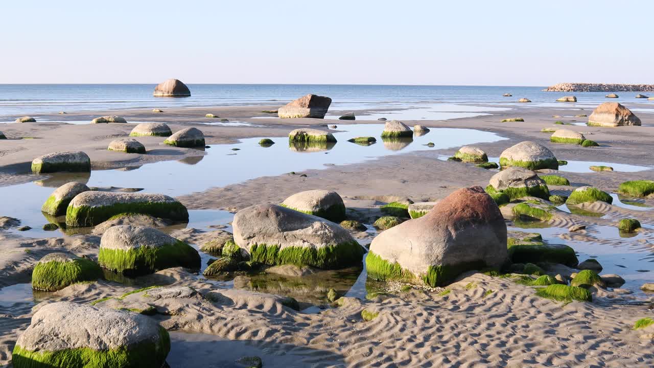 在波罗的海低潮时，海床上出现了大量的大圆石视频素材