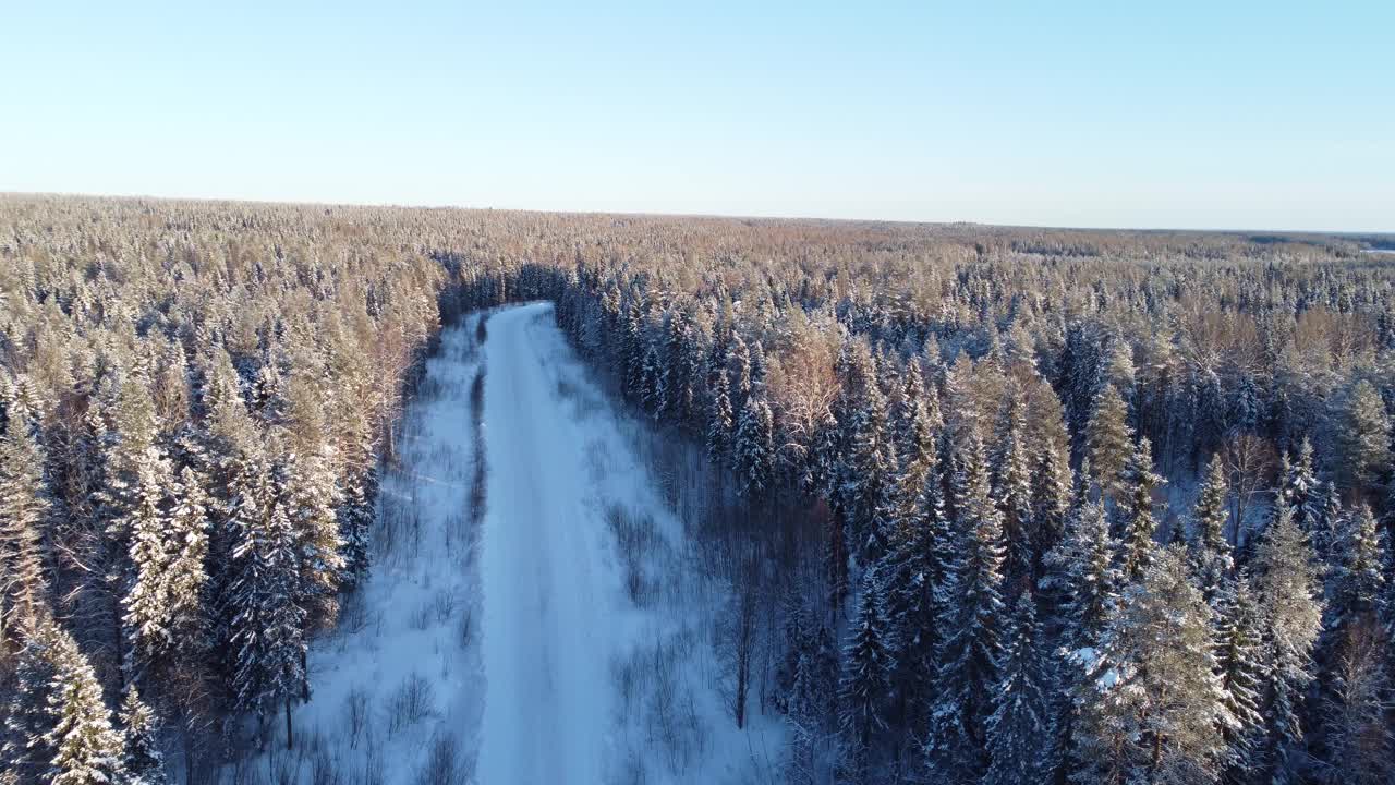 在冬天的一天，无人机从积雪覆盖的树木和森林中间的道路鸟瞰图。针叶林或西伯利亚冬季茂密的森林，4K全景视频素材