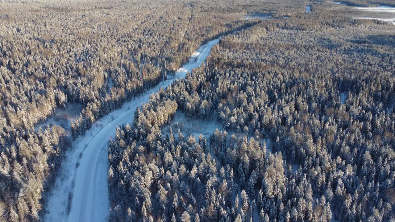 在冬天的一天，无人机从积雪覆盖的树木和森林中间的道路鸟瞰图。针叶林或西伯利亚冬季茂密的森林，4K全景视频素材