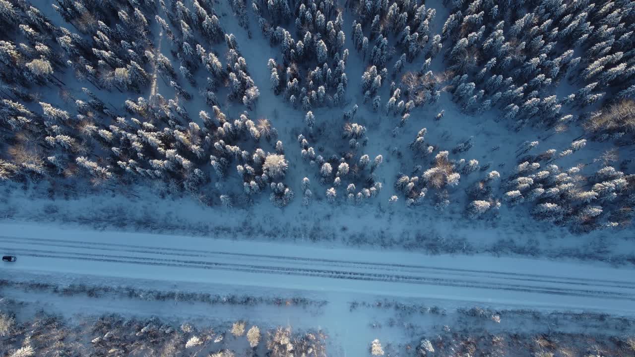 无人机拍摄的冬季森林鸟瞰图，针叶林或西伯利亚的巨大森林，4K风景视频视频素材