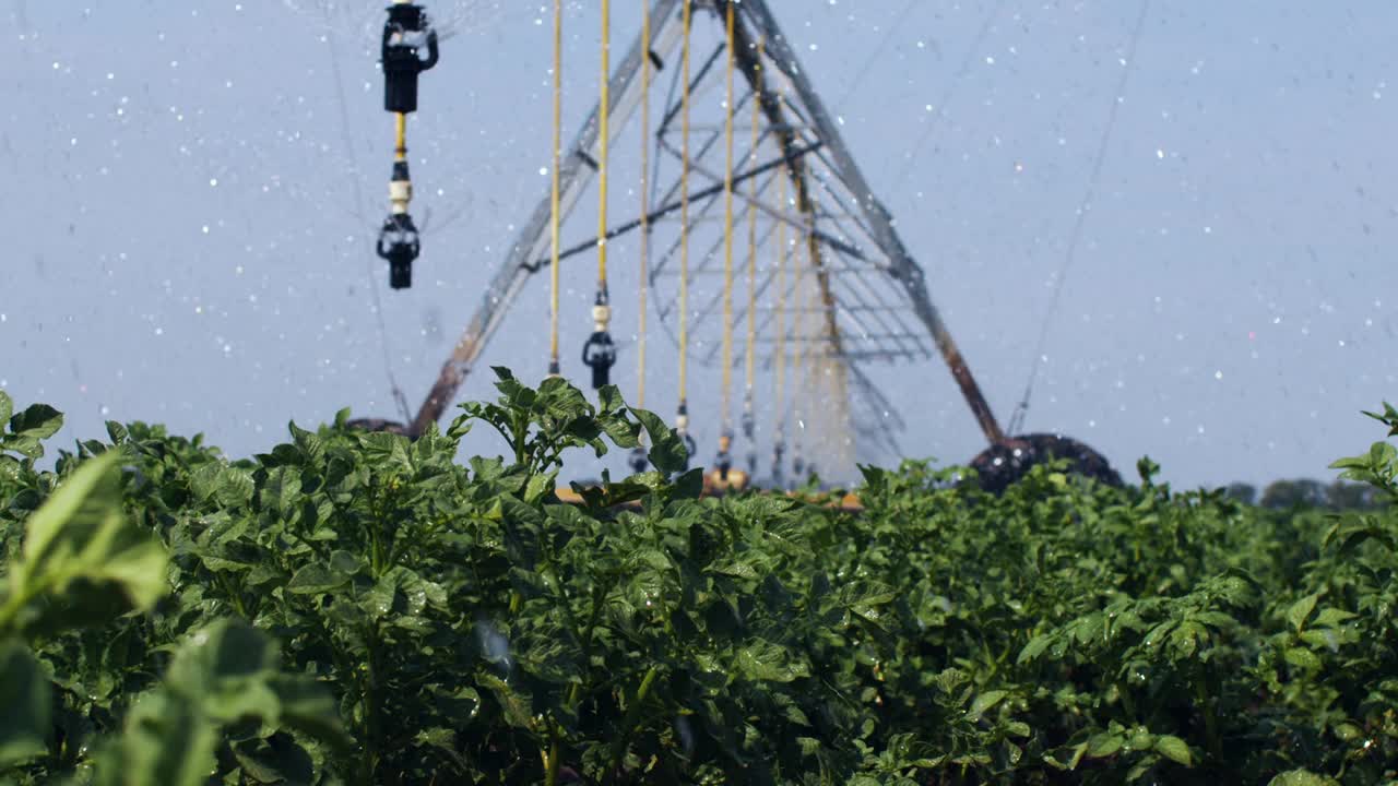 夏季田间农用喷灌机地面视图视频下载