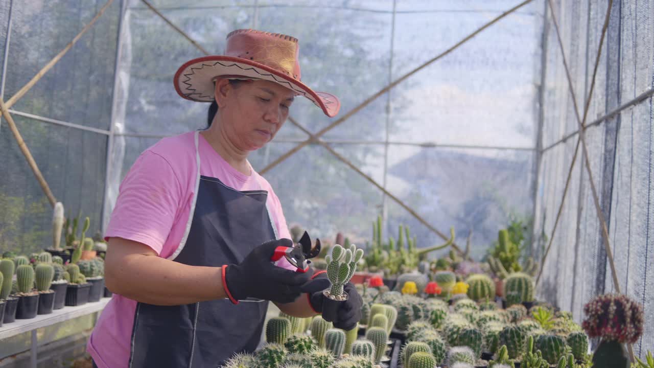 亚洲高级美女在她的室内花园种植植物。视频素材