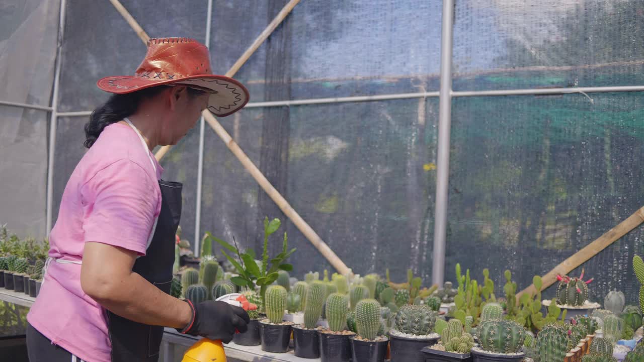 亚洲高级美女在她的室内花园种植植物。一个女人拿着一盆仙人掌往他身上喷水。视频素材