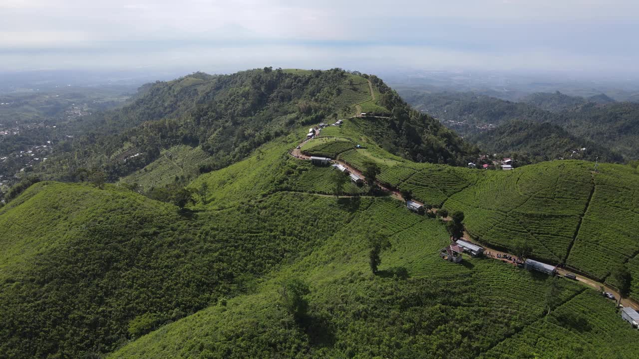 以拉乌山为背景的印度尼西亚科木宁茶园鸟瞰图视频素材