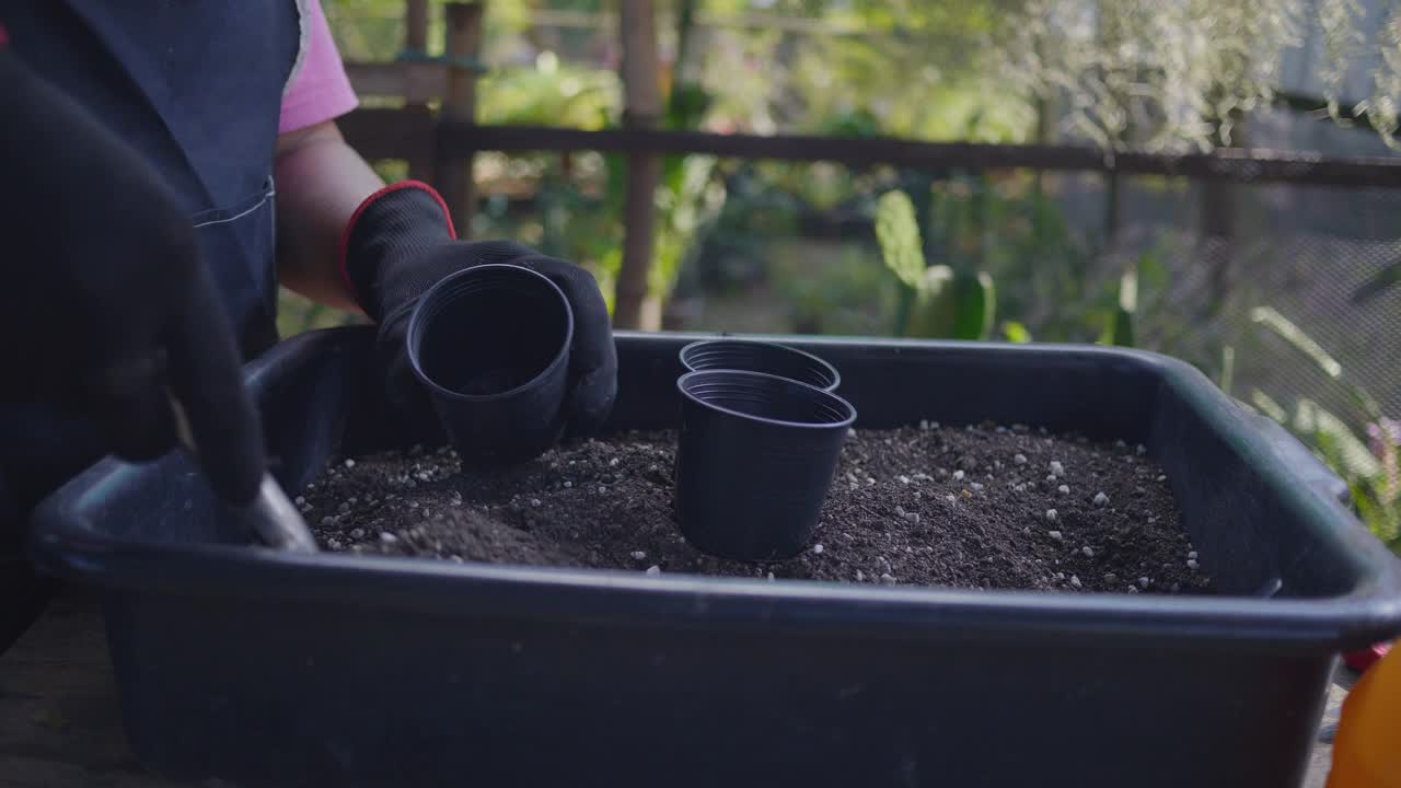 亚洲美女在她的室内花园种植植物。视频素材