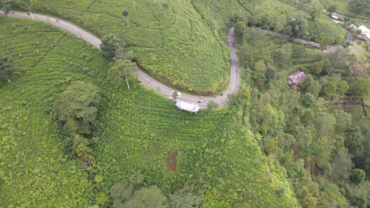 印度尼西亚可木宁茶园中心道路的鸟瞰图视频素材