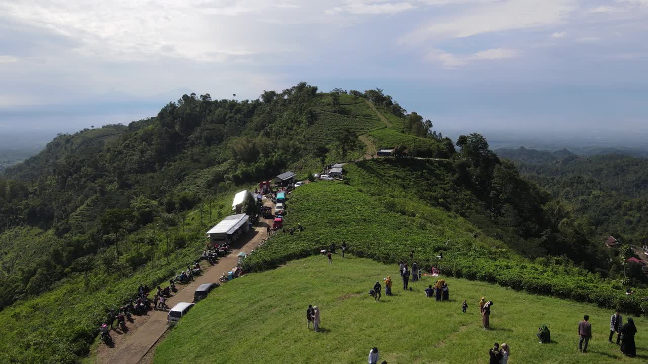 以拉乌山为背景的印度尼西亚科木宁茶园鸟瞰图视频素材