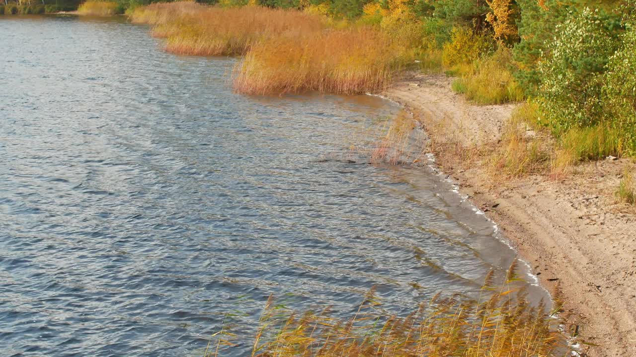 萨马湖岸边秋景，拉彭兰塔芬兰视频素材