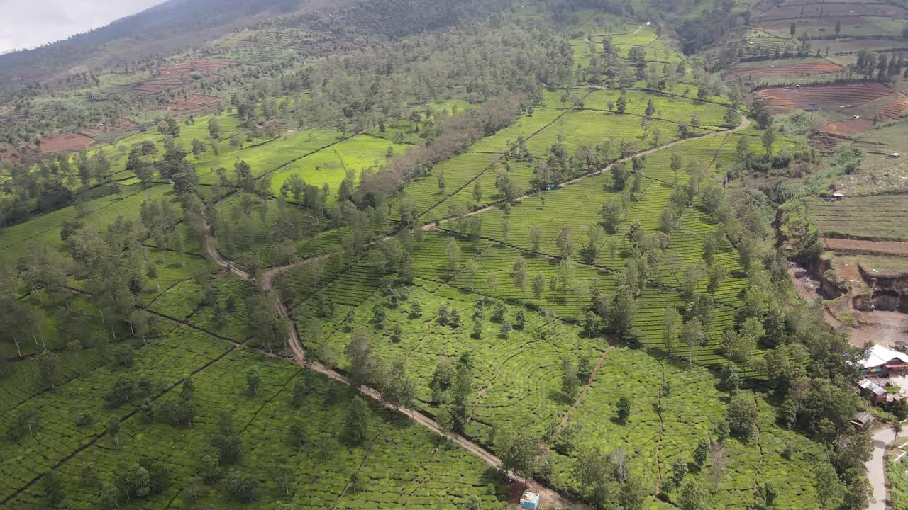 鸟瞰山与绿色风景在新多罗火山视频素材