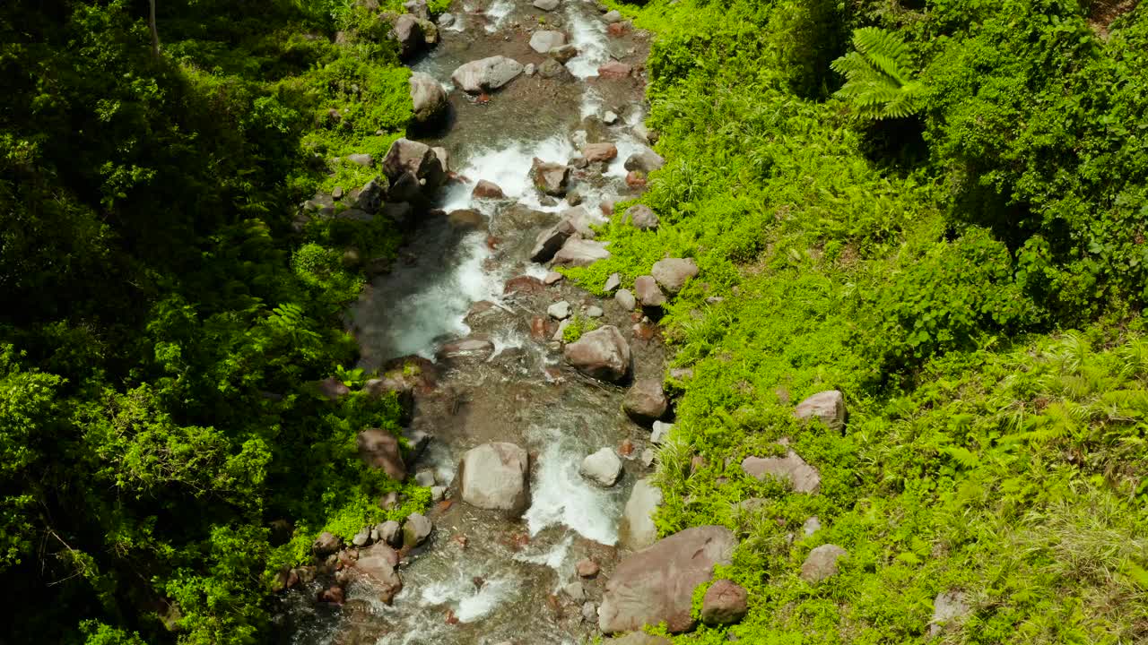 河流在菲律宾卡米金的丛林中流淌视频素材