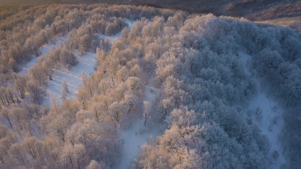 冬天的日出在山上的森林，美丽的白雪覆盖的树木被早晨的阳光照亮视频素材