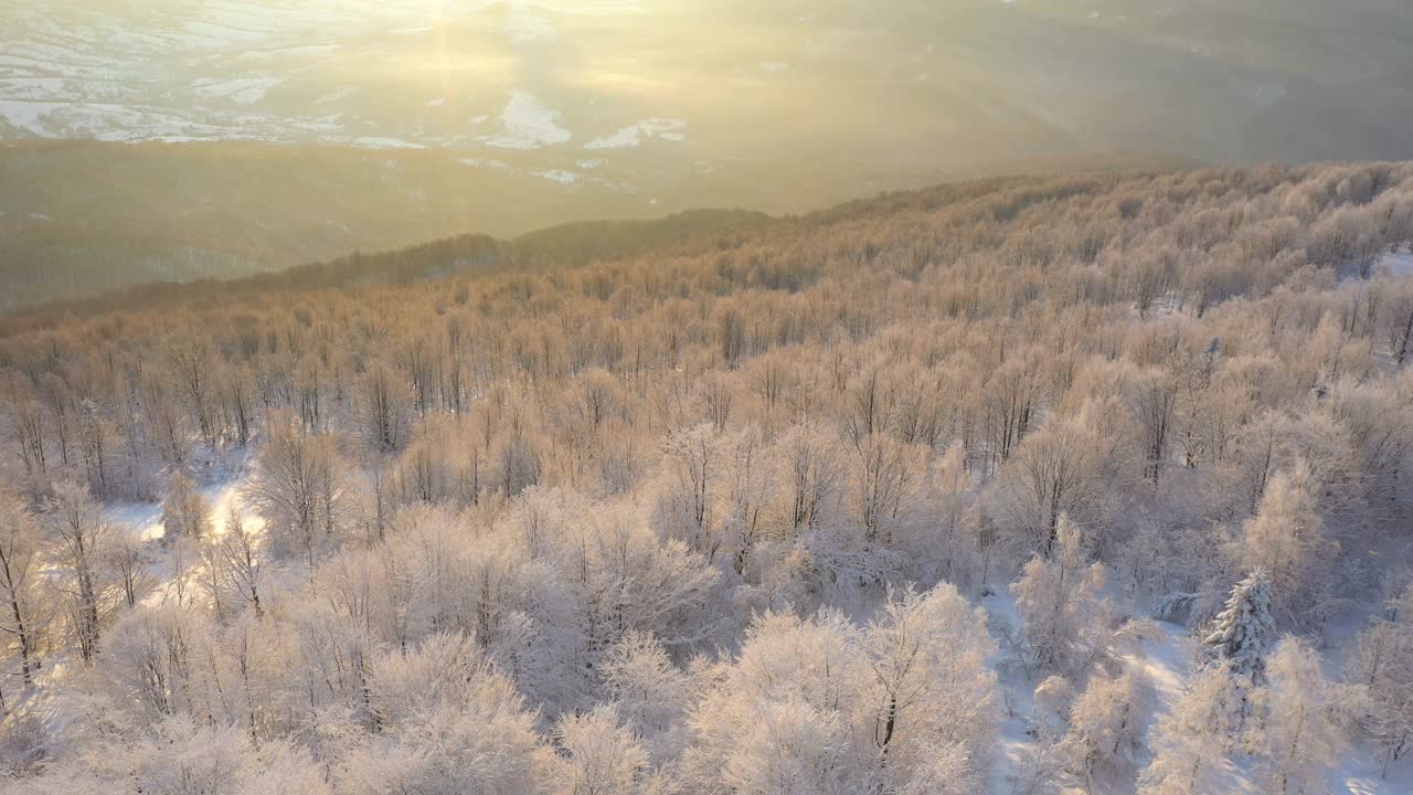 冬天的日出在山上的森林，美丽的白雪覆盖的树木被早晨的阳光照亮视频素材