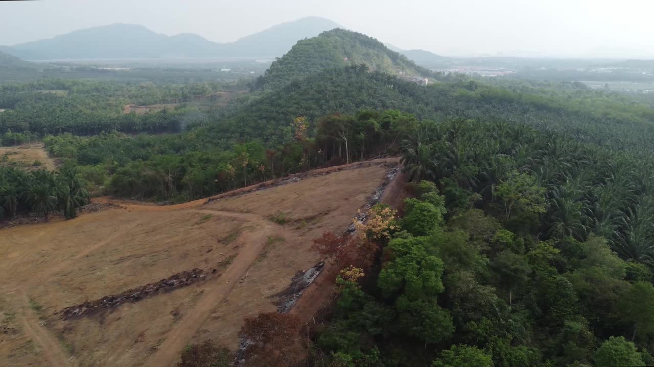 山上没有油棕地用于农业视频素材